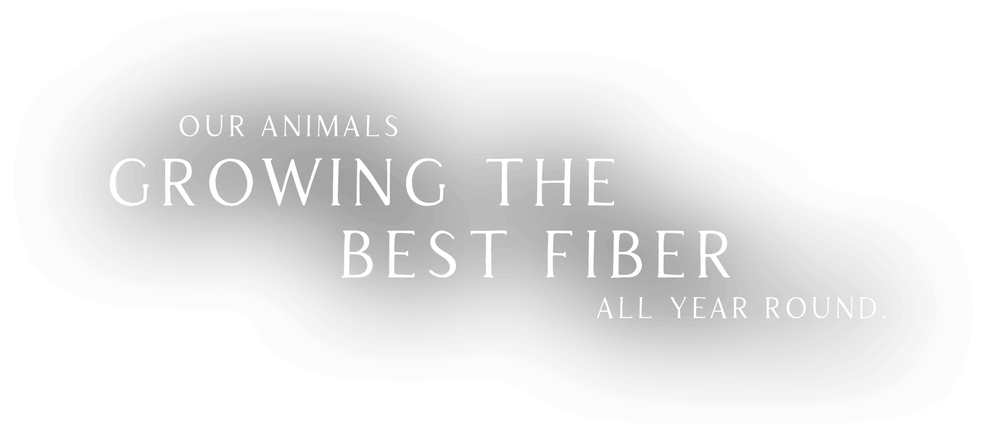 Our animals growing the best fiber all year round
