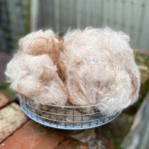 guanaco fiber