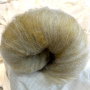 Spinners' Dream Luxury Blend Batt--Fustic and Natural